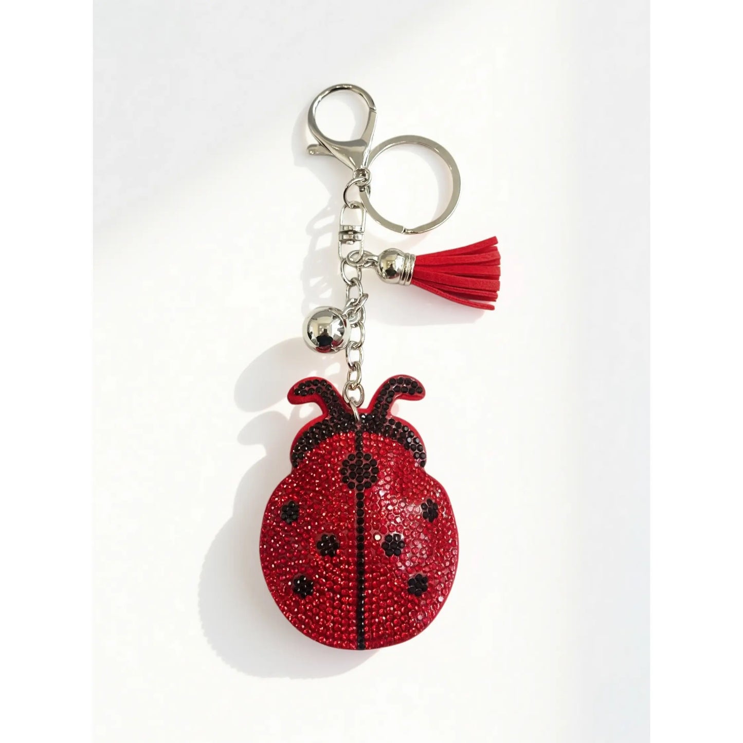 Decorative Iris Keychain Charm 🌈🔑✨
