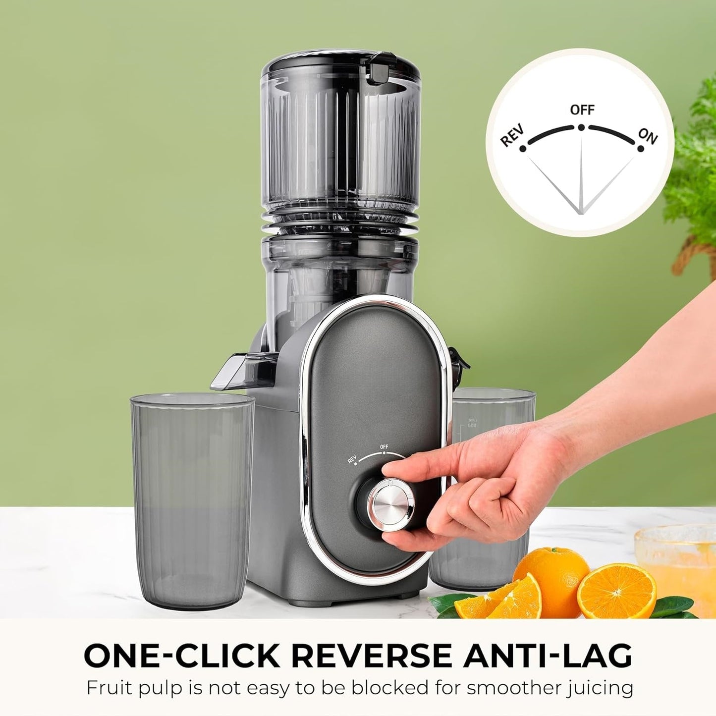 Cold Press Juicer