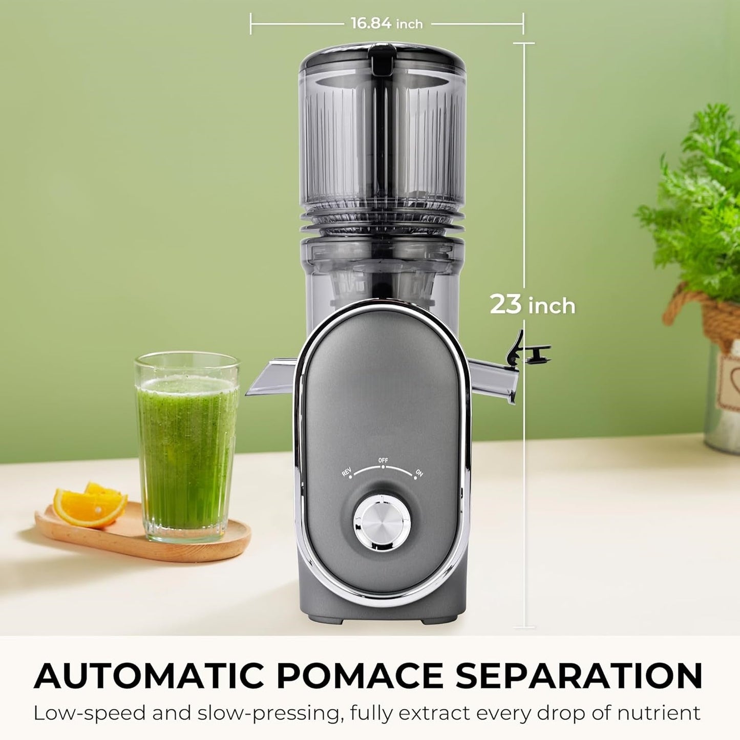 Cold Press Juicer