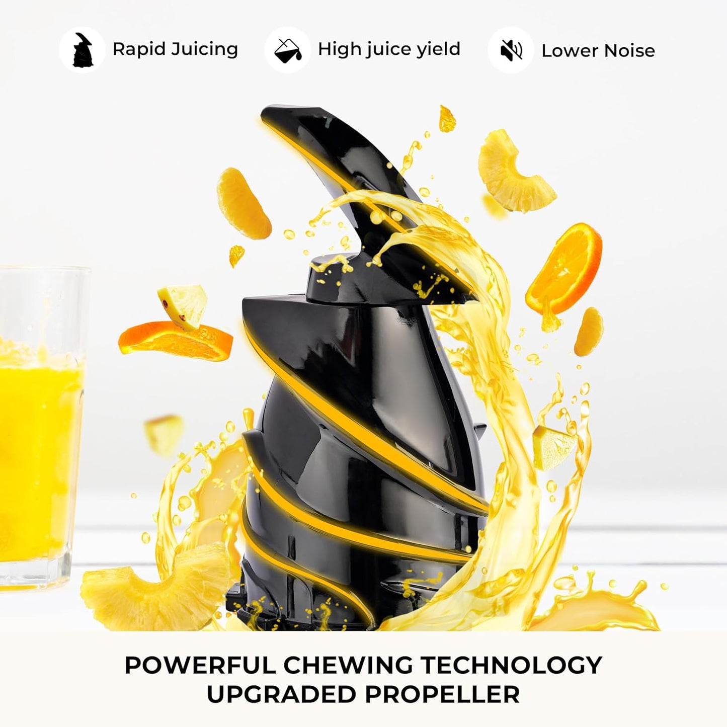 Cold Press Juicer
